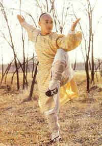 Look at my Kung Fu stance!